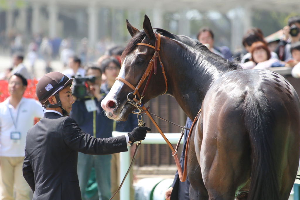 ■2019-0421_東京競馬場 (38)