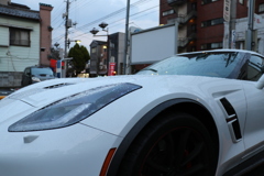 2019-03-16_谷中 (25)