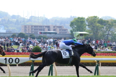 ■2019-04-21_東京競馬場 (51)