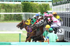■2019-09-15_中山競馬場 (22)
