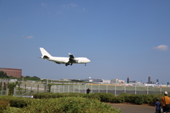 ■2019-08-25_成田さくらの山 (56)