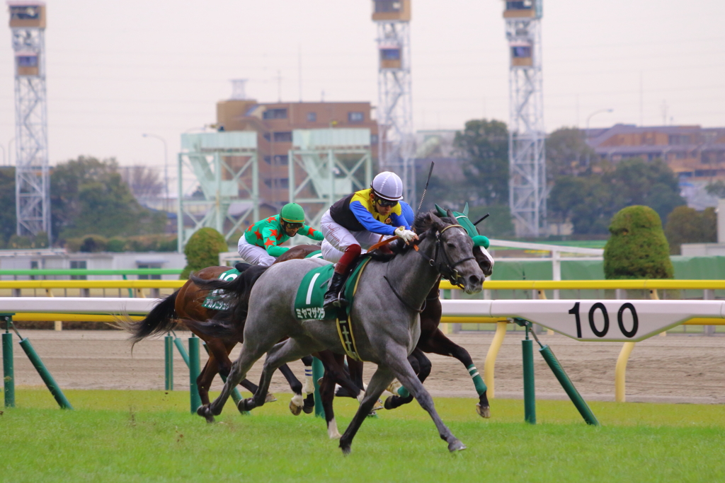 ■2020-02-15_東京競馬場 (70)