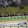 ■2020-02-08_東京競馬場 (30)