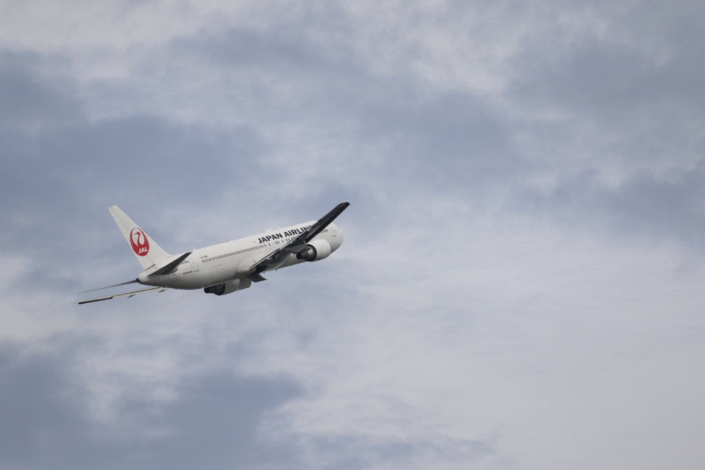 ■2019-05-06_羽田空港 (81)