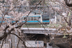 ■2020-03-28_荒川土手 (65)