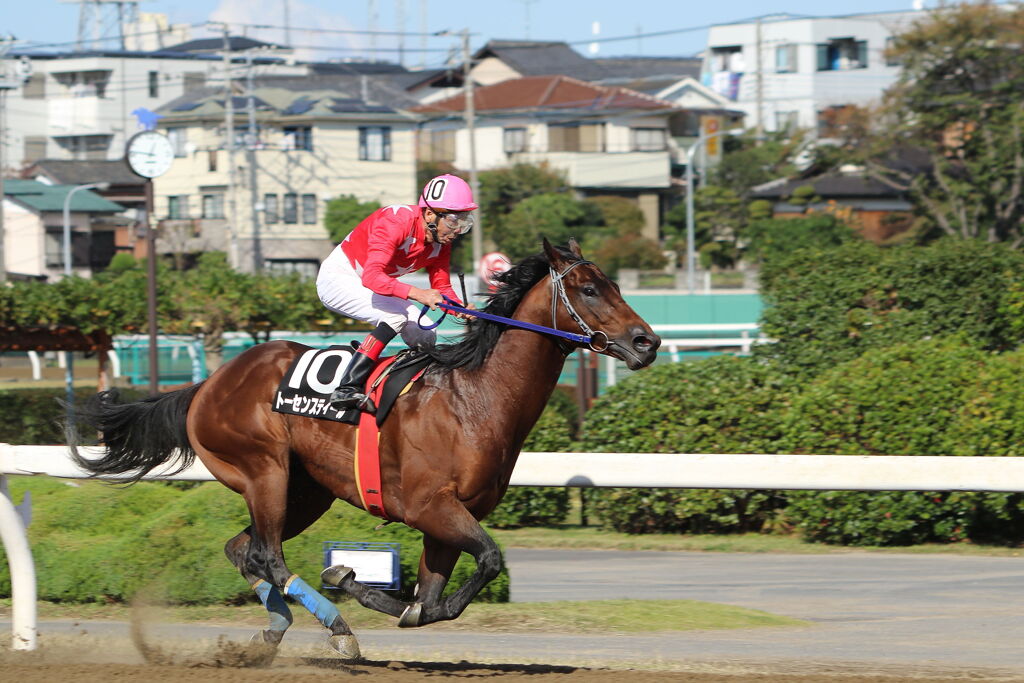 ■2019-11-04_浦和競馬場 (22)