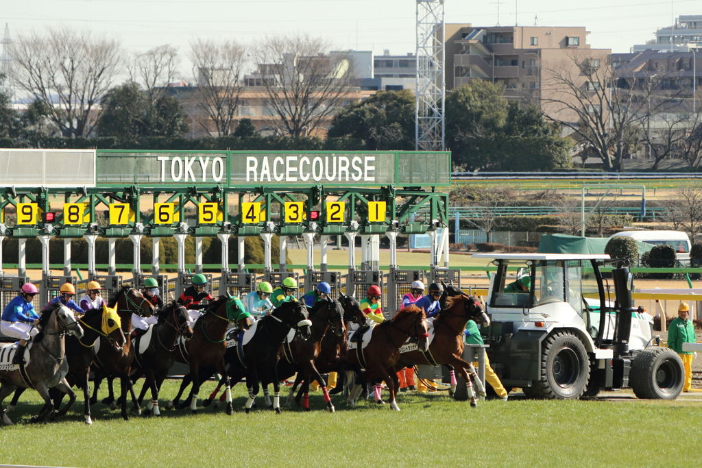 ■2019-02-02_東京競馬場4