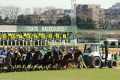 ■2019-02-02_東京競馬場4