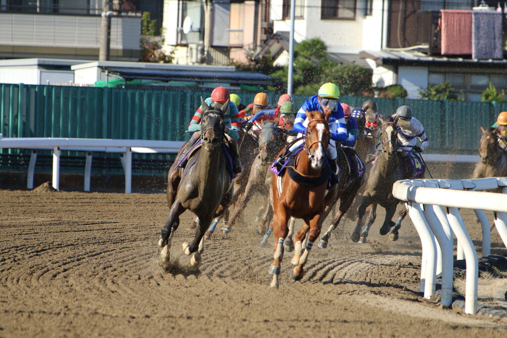 ■2019-11-04_浦和競馬場 (79)