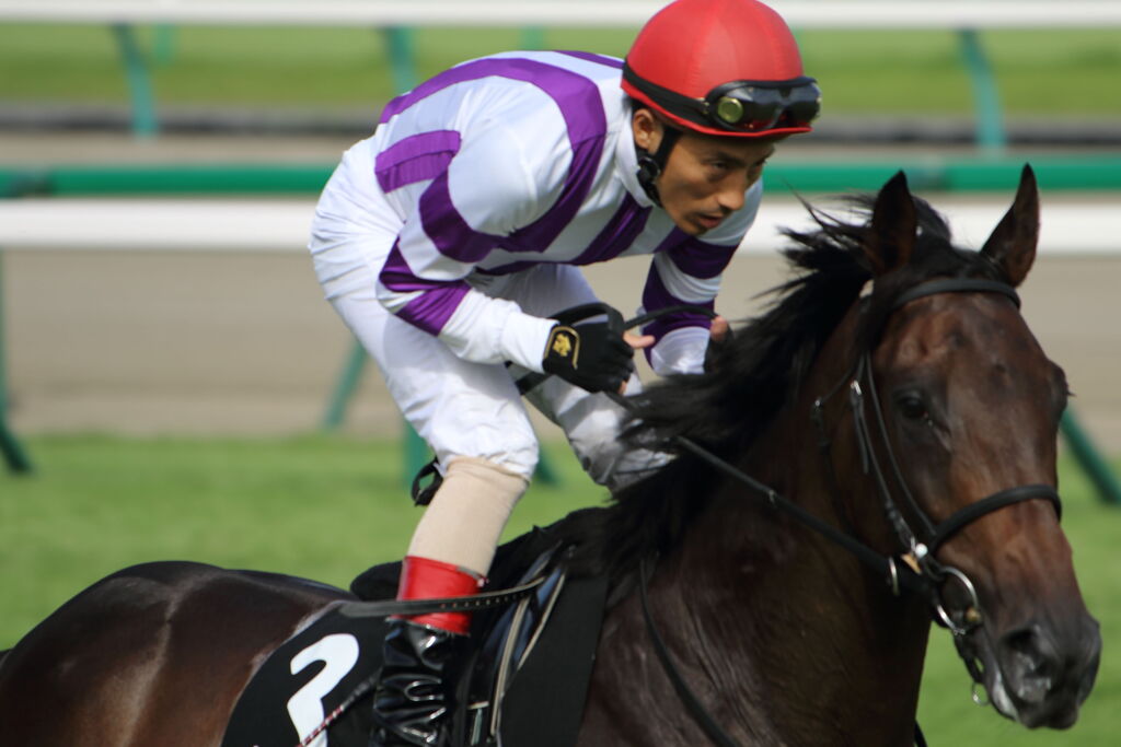 ■2019-09-15_中山競馬場 (29)