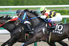 ■2019-09-15_中山競馬場 (55)
