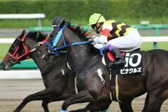 ■2019-09-15_中山競馬場 (56)