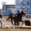 ■2020-01-03_川崎競馬場 (11)