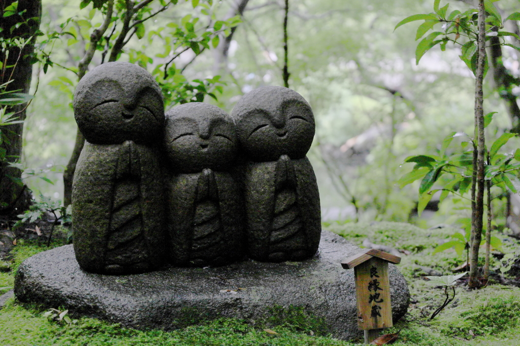 雨の長谷寺 1