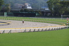 ■2019-04-21_東京競馬場 (68)