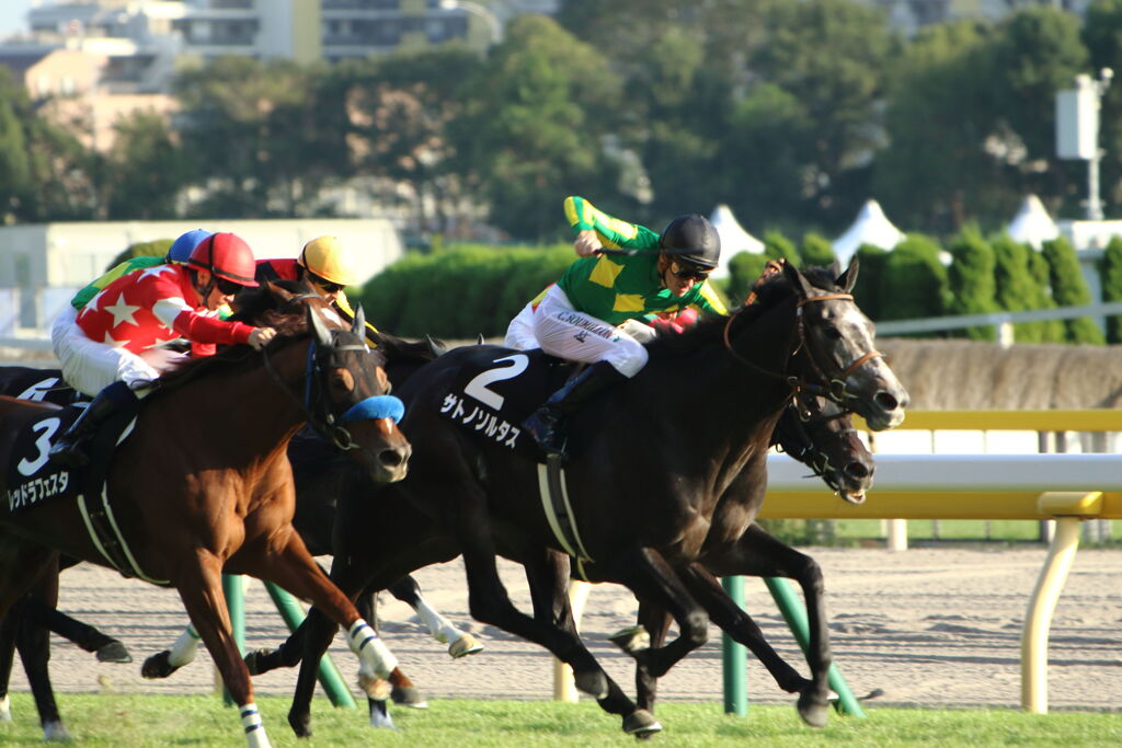 ■2019-11-02＿．東京競馬場CR2 (120)