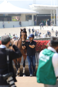 ■2019-04-21_東京競馬場 (23)