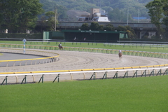 ■2019-04-21_東京競馬場 (67)