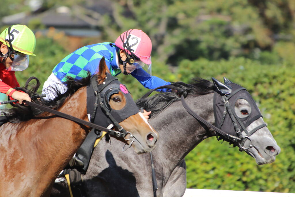 ■2019-11-04_浦和競馬場 (5)