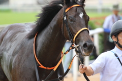 ■2019-06-23_東京競馬場 (13)