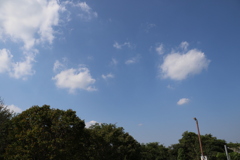 ■2019-08-25_成田さくらの山 (59)
