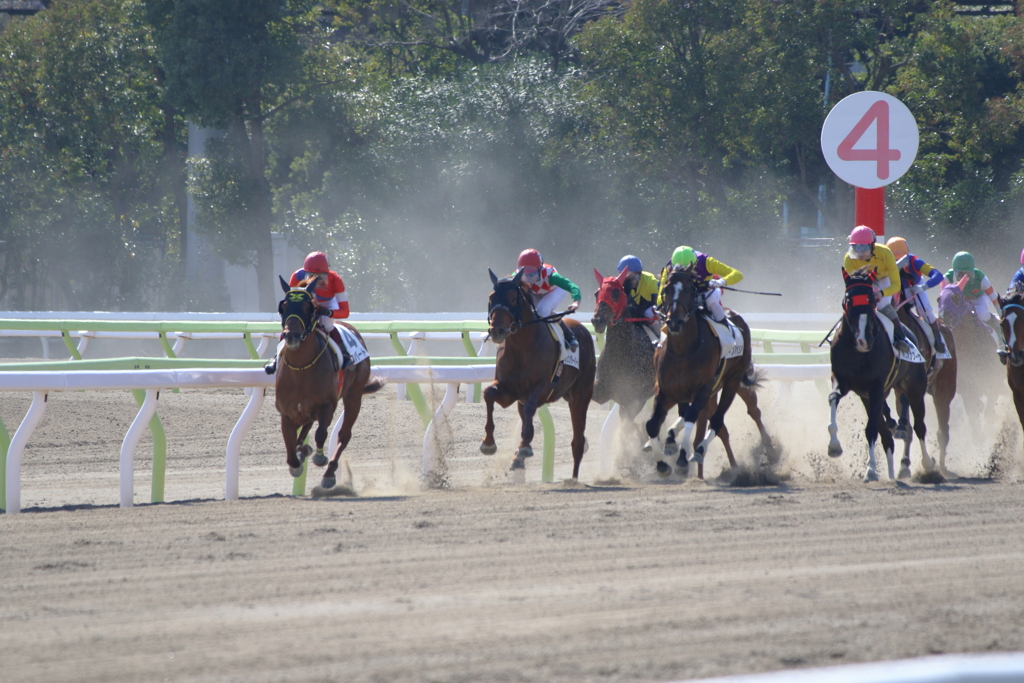 ■2020-02-24_大井競馬場 (9)