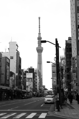 ■2020-04-05_浅草 (28)