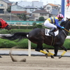 駆ける (1)