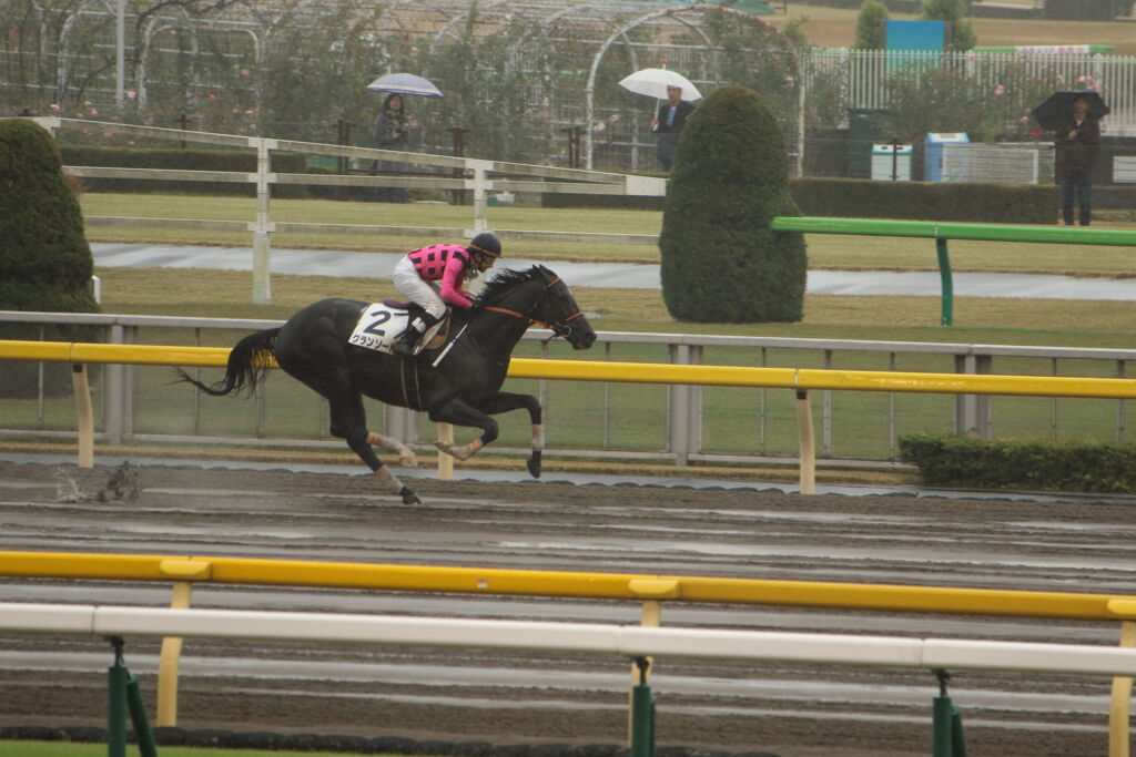 ■2019-11-23_ 東京競馬場(2)