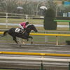 ■2019-11-23_ 東京競馬場(2)