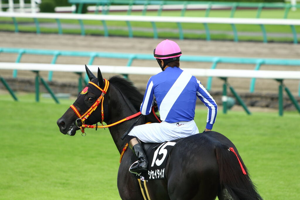 ■2019-09-15_中山競馬場 (43)