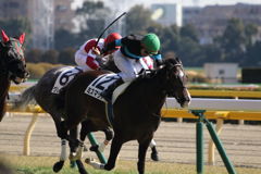 ■2019-02-17_東京競馬場-06JPG
