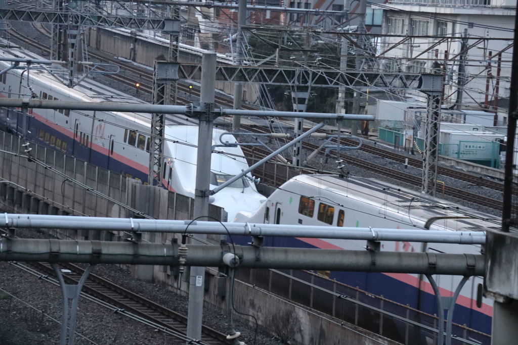 2019-03-16_谷中 (27)