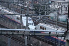 2019-03-16_谷中 (27)