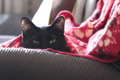 ■2019-03-24_ (3)