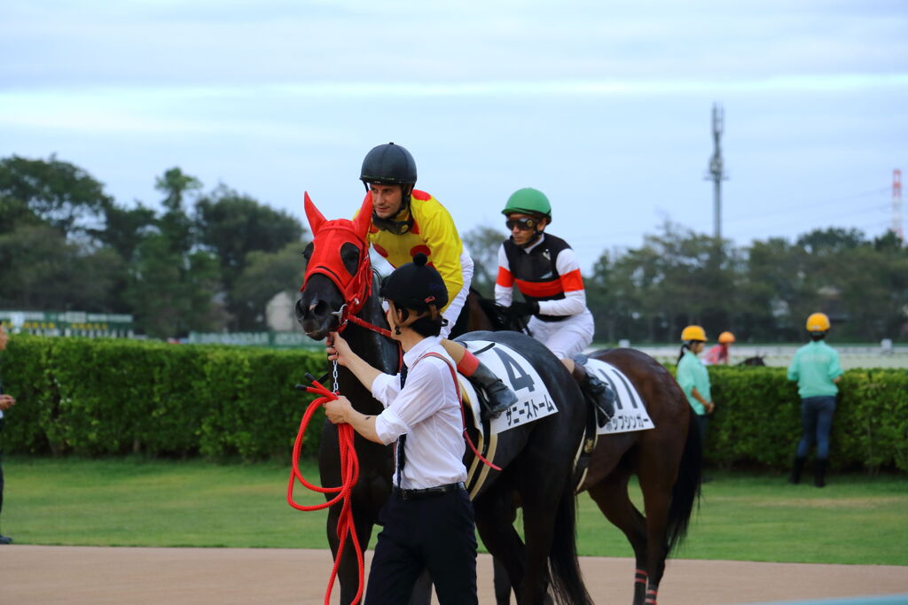 ■2019-09-15_中山競馬場 (107)