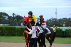 ■2019-09-15_中山競馬場 (107)
