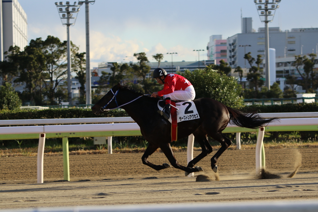浦和競馬1