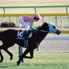■2020-02-08_東京競馬場 (9)