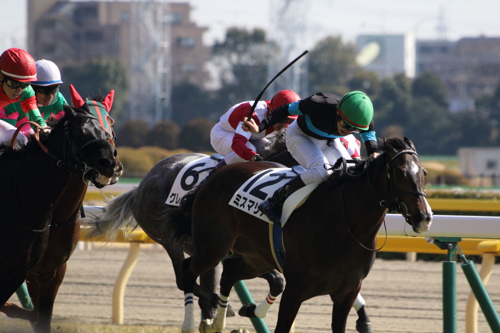 ■2019-02-17_東京競馬場-045JPG