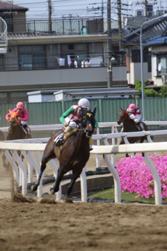 ■2019-05-03_浦和競馬場 (55)