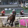 ■2019-05-03_浦和競馬場 (55)