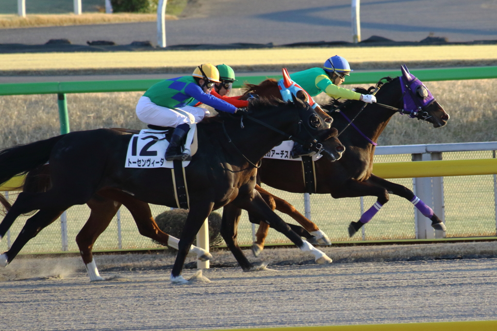 ■2020-02-08_東京競馬場 (90)