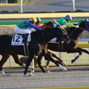 ■2020-02-08_東京競馬場 (90)