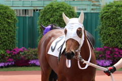 ■2019-05-03_浦和競馬場 (1)