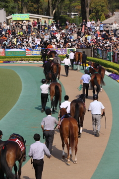 ■2019-04-21_東京競馬場 (71)