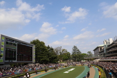 ■2019-04-21_東京競馬場 (73)