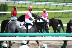 ■2019-09-15_中山競馬場 (19)