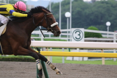 ■-06-23_東京競馬場 (40)