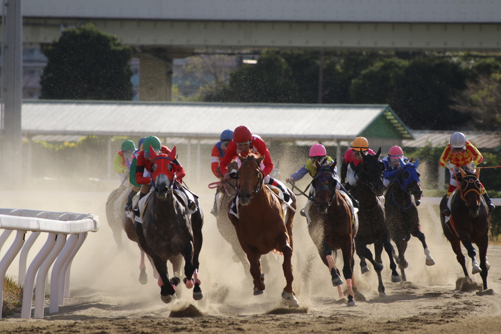 浦和競馬2